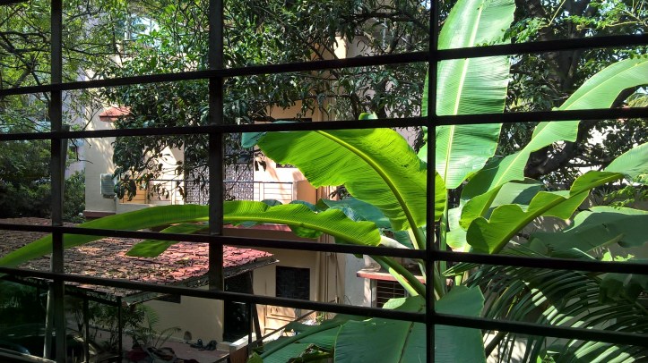 view from my balcony